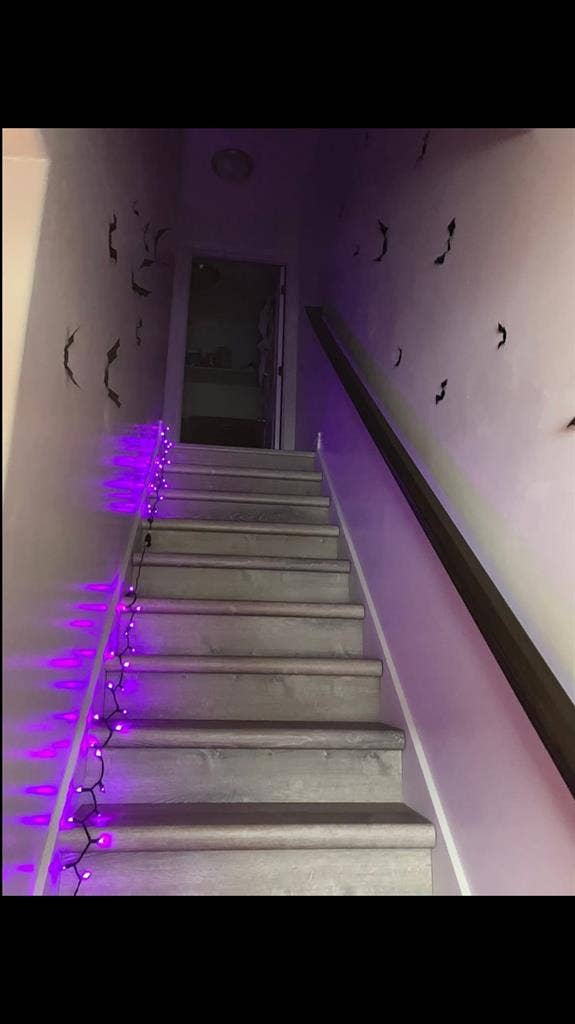 Seeking roomate for cozy townhouse