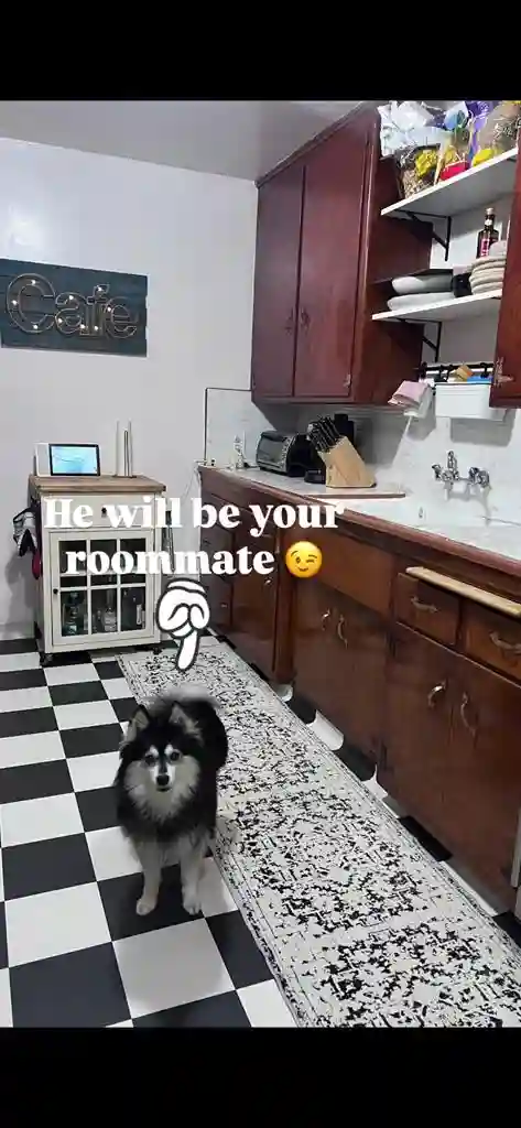 Room for rent in Santa Monica -