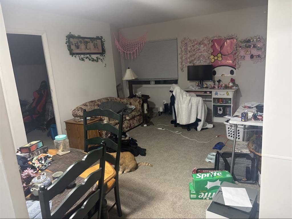 Seeking Cat Friendly Roommate!
