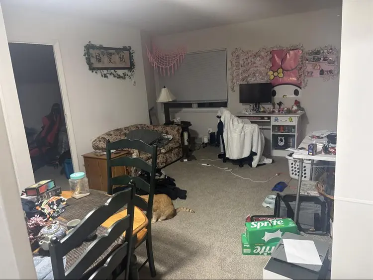 Seeking Cat Friendly Roommate!