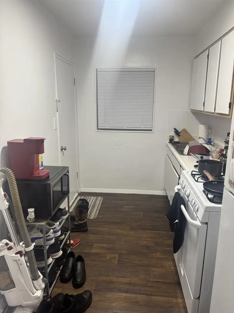 Seeking Cat Friendly Roommate!