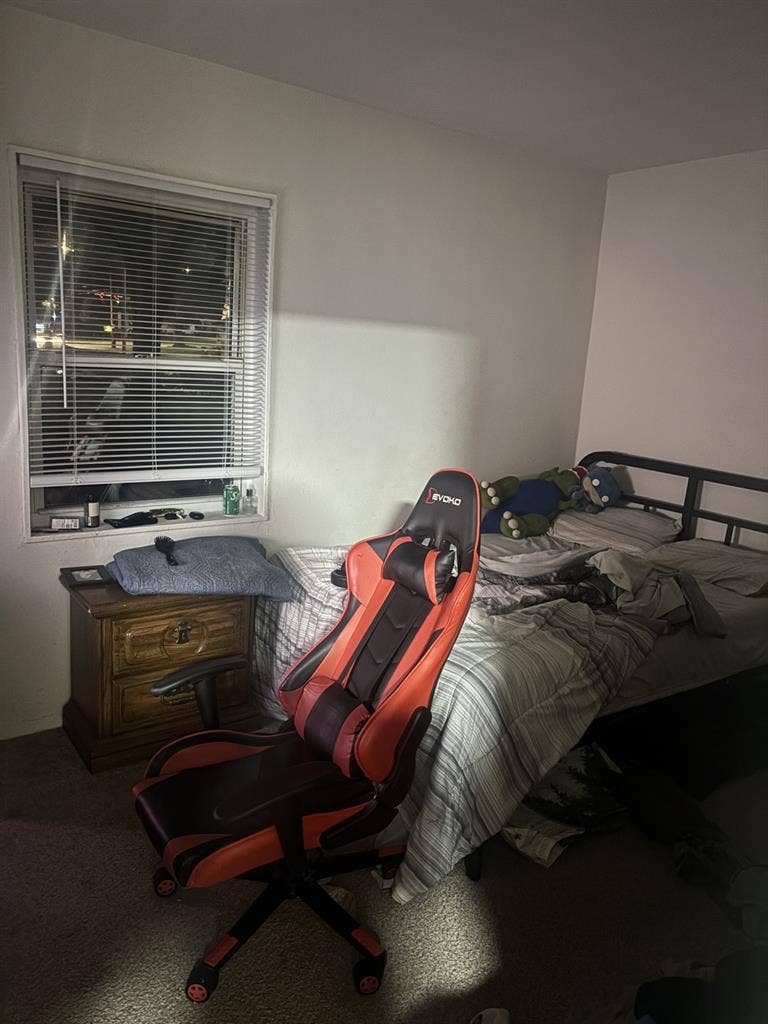 Seeking Cat Friendly Roommate!