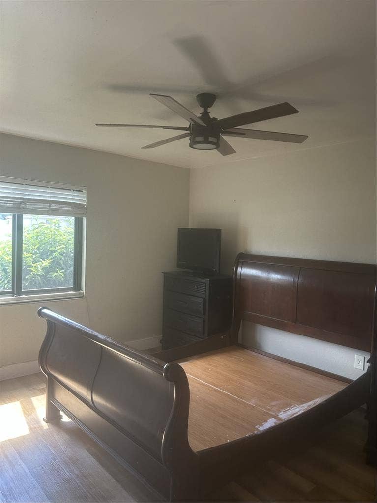 Looking for a roommate
