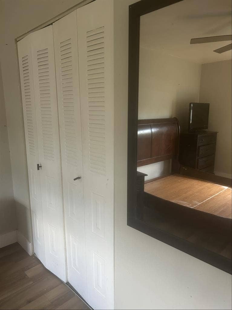 Looking for a roommate