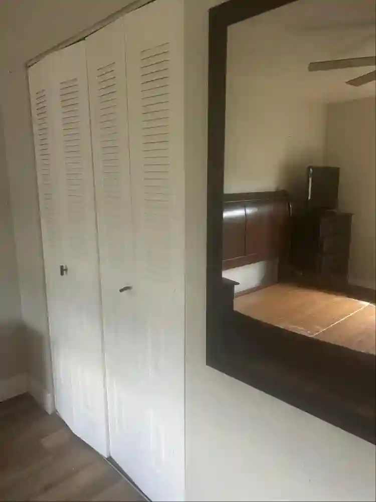 Looking for a roommate