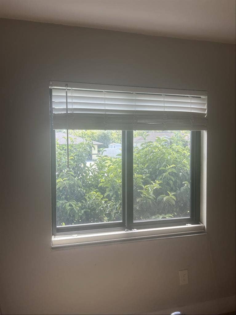 Looking for a roommate