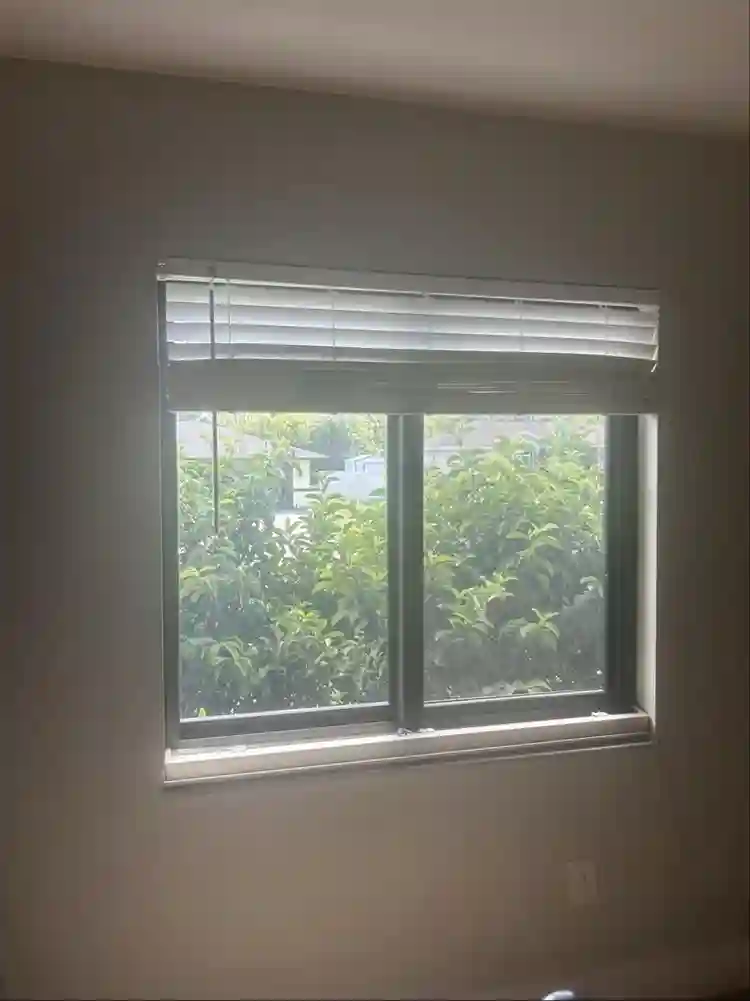 Looking for a roommate