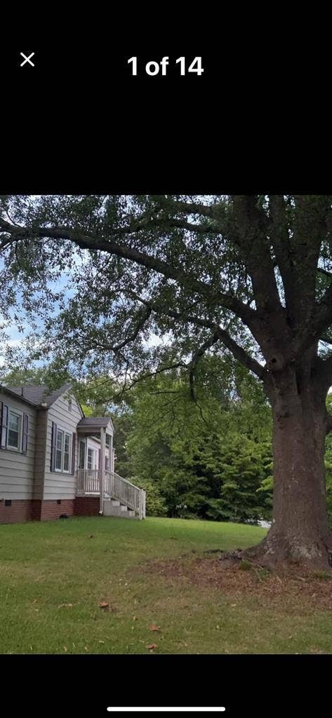 Female Roommate Needed