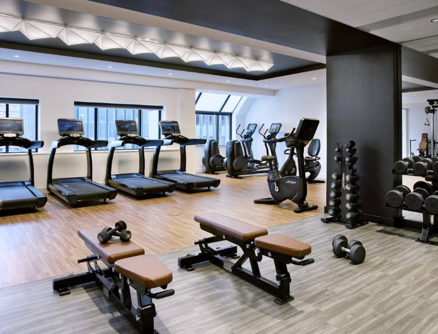 Looking for a female roommate