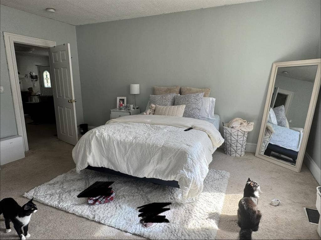 Private room for rent