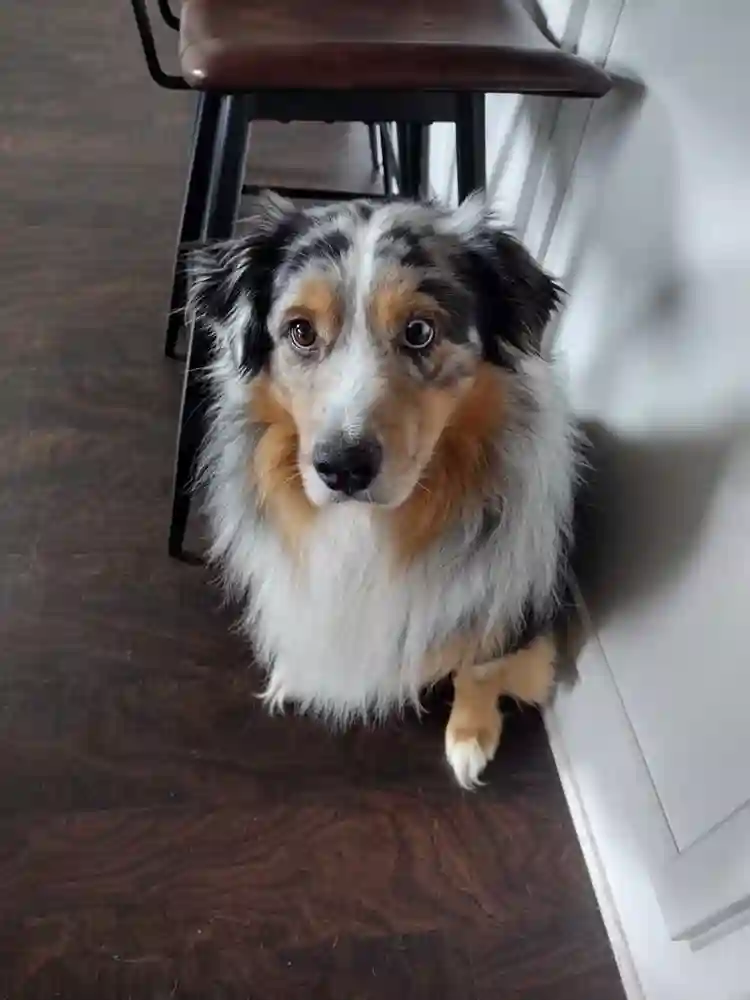 Master bedroom and bath