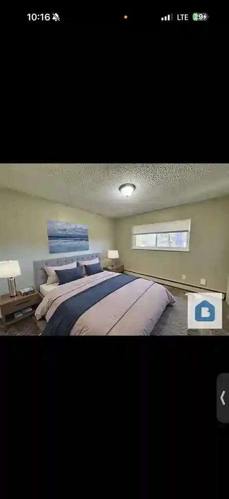 Looking for roommate