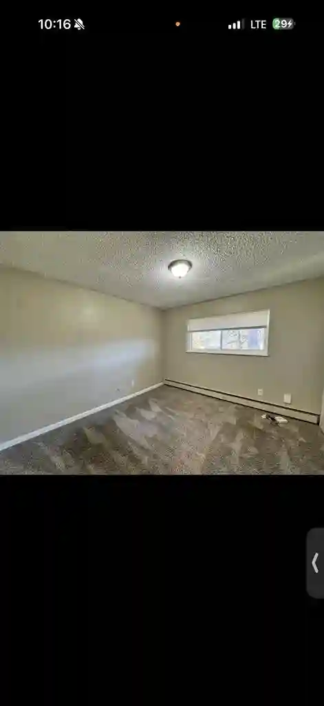 Looking for roommate