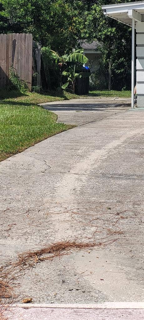 Single room Available February 1st