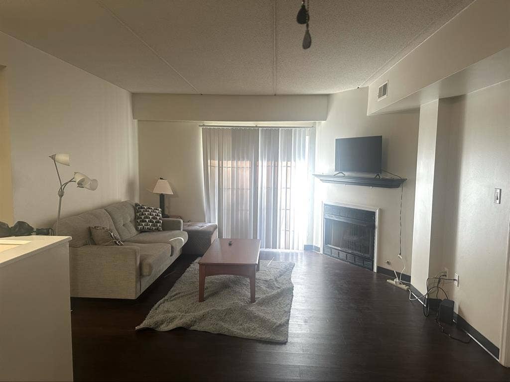 Apartment Sublease - January