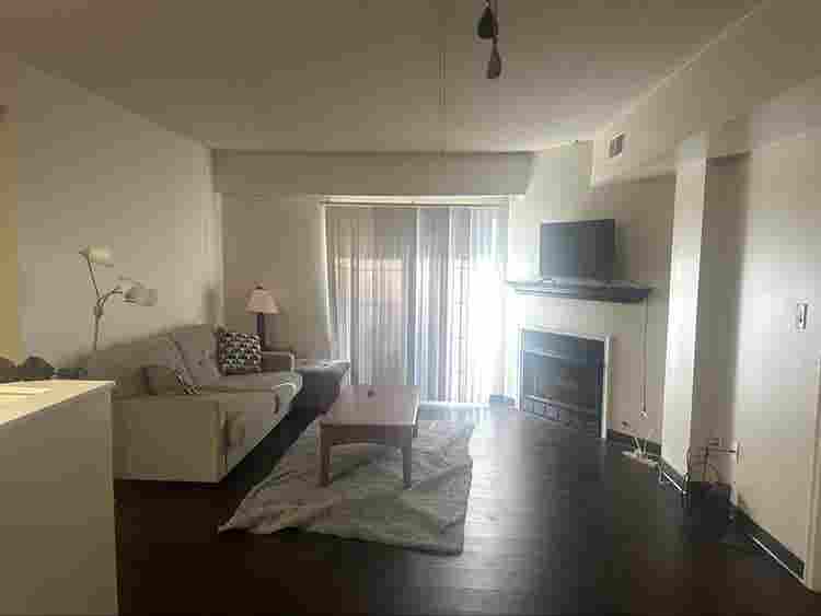 Apartment Sublease - January