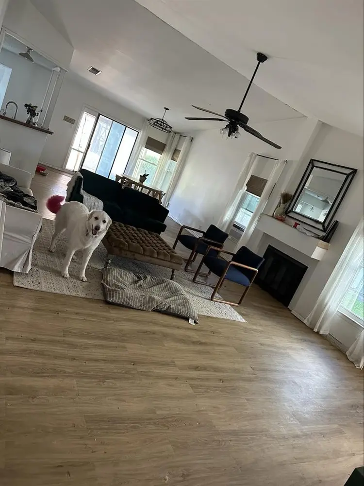 Room for rent- female only