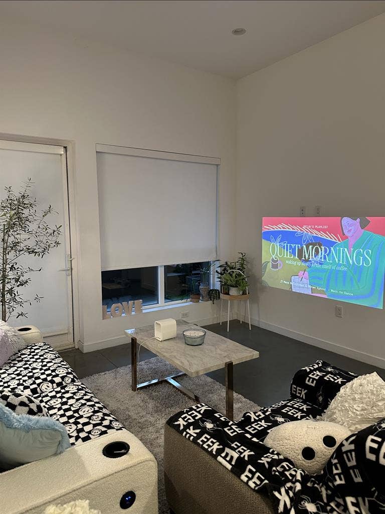 Apt with Calm Roommate 🌿