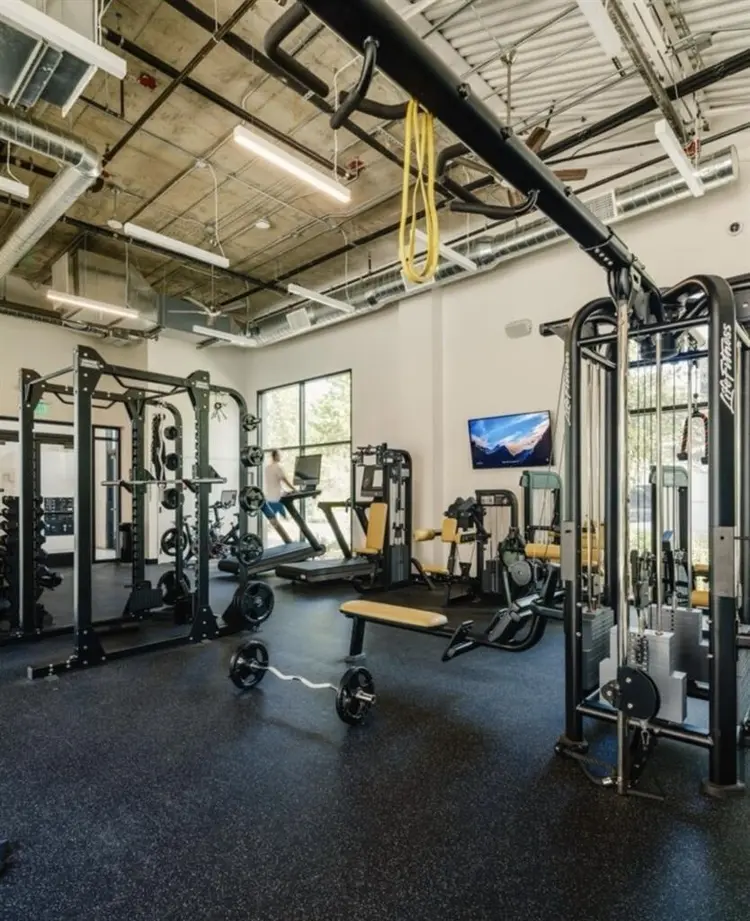 Apt with Calm Roommate 🌿