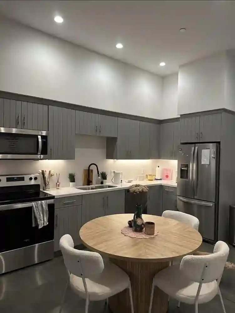 Apt with Calm Roommate 🌿