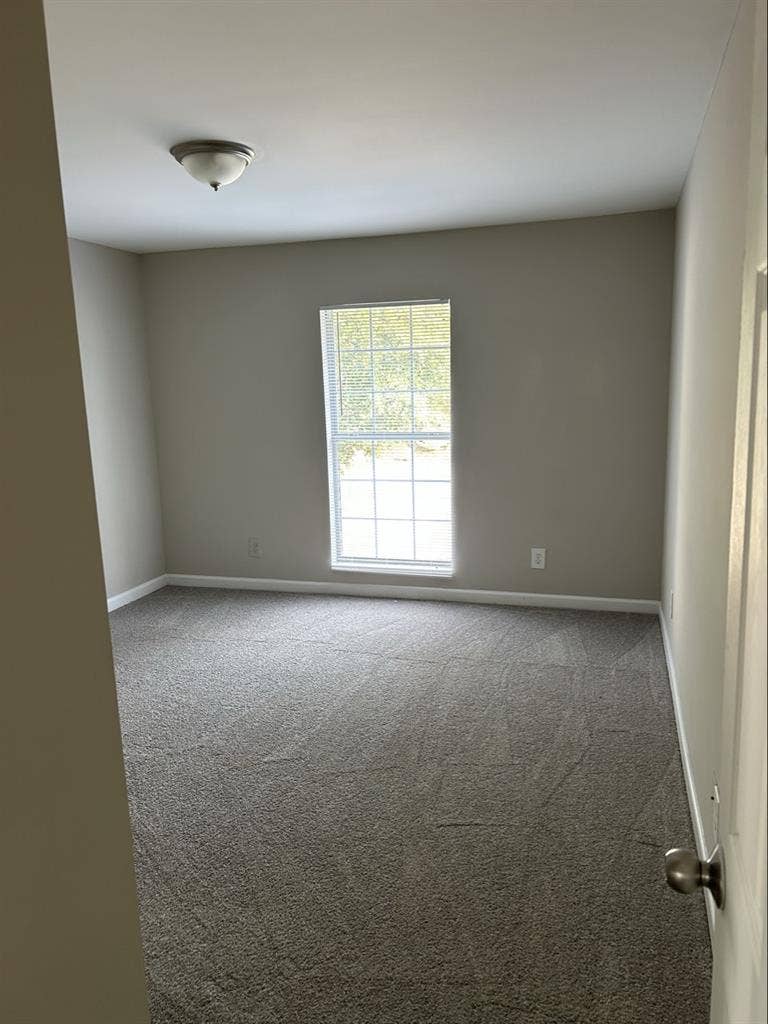 Looking for roommate