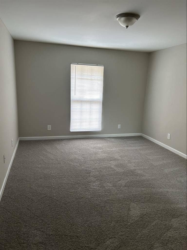 Looking for roommate