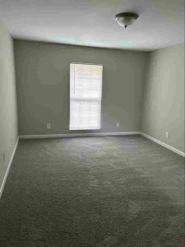 Looking for roommate