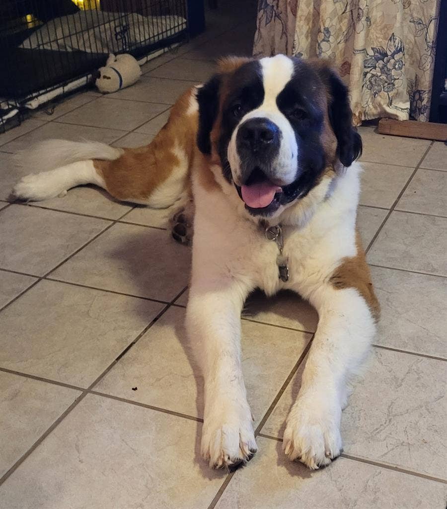 Cozy Room for Rent! Fully Furnished