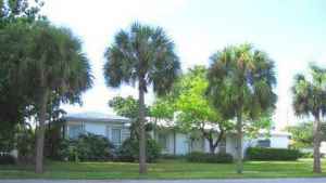 Great chill guys, thriving house