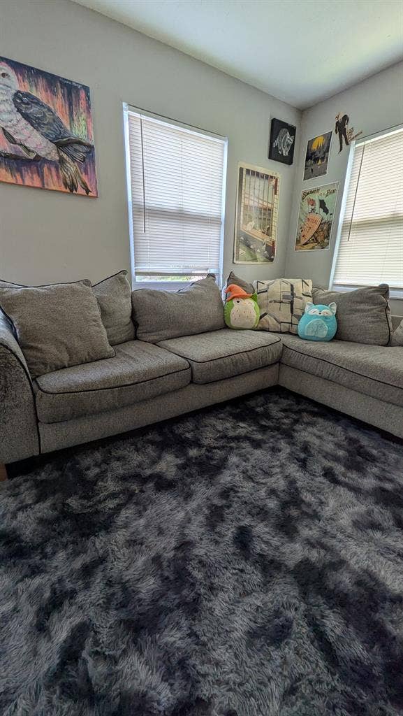 Roommate wanted