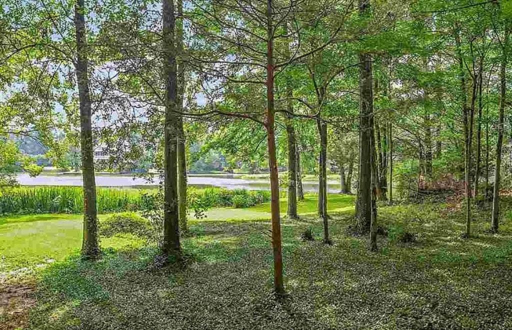 Spare 3rd bedroom for rent in house