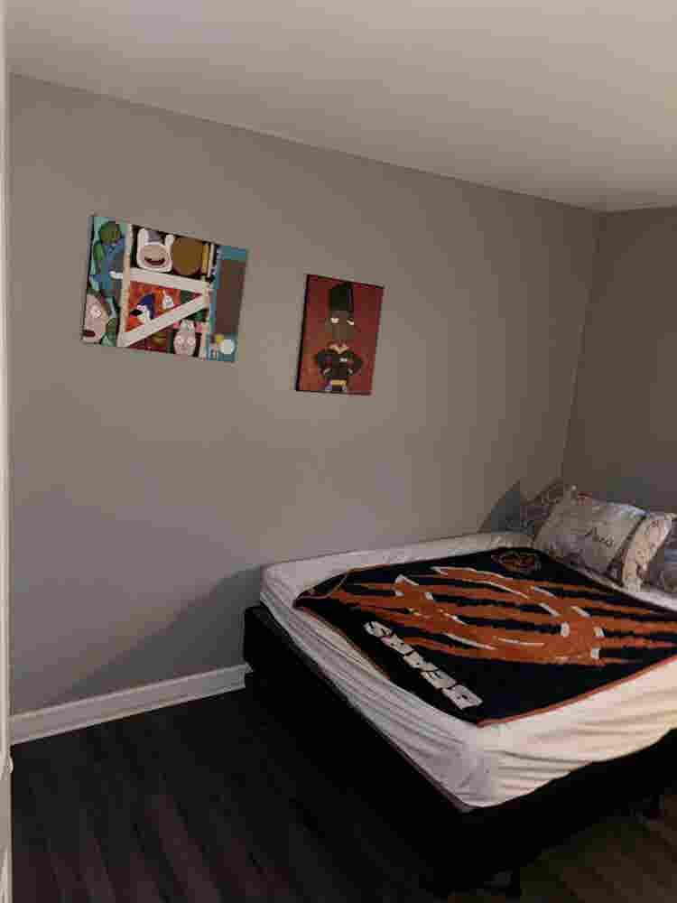 Room for rent Rogers park