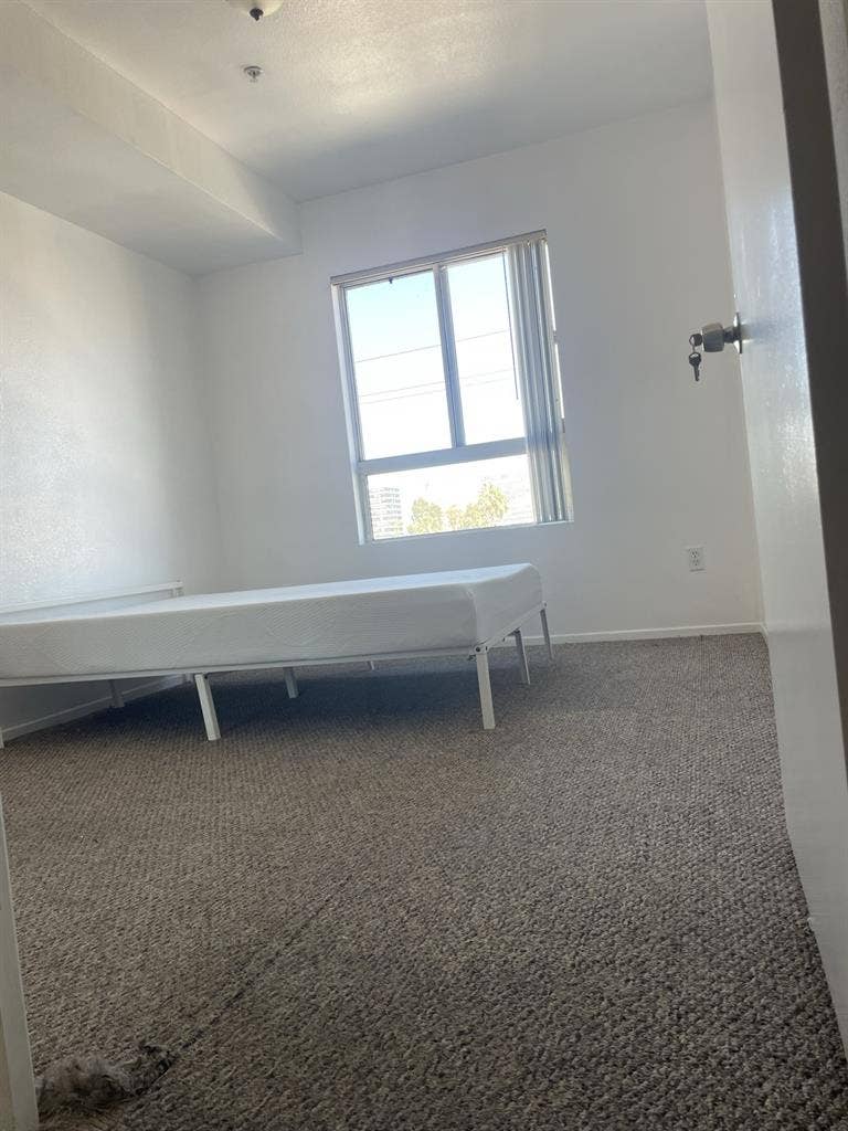 Bright, Spacious Room for Rent