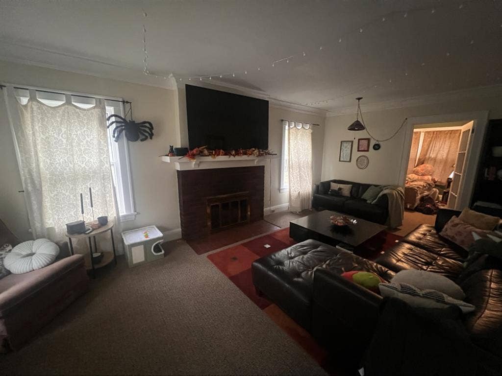 Calling all college students!