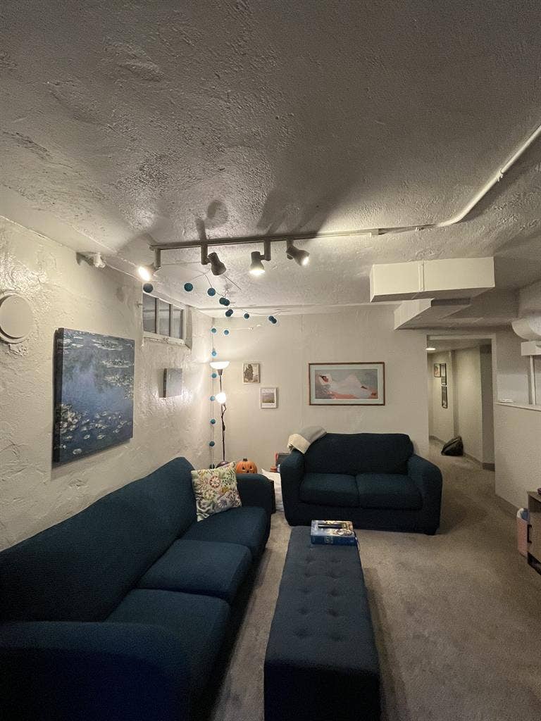 Looking for (F) roommate!