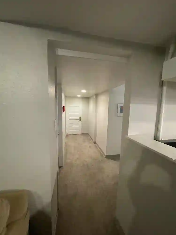 Looking for (F) roommate!