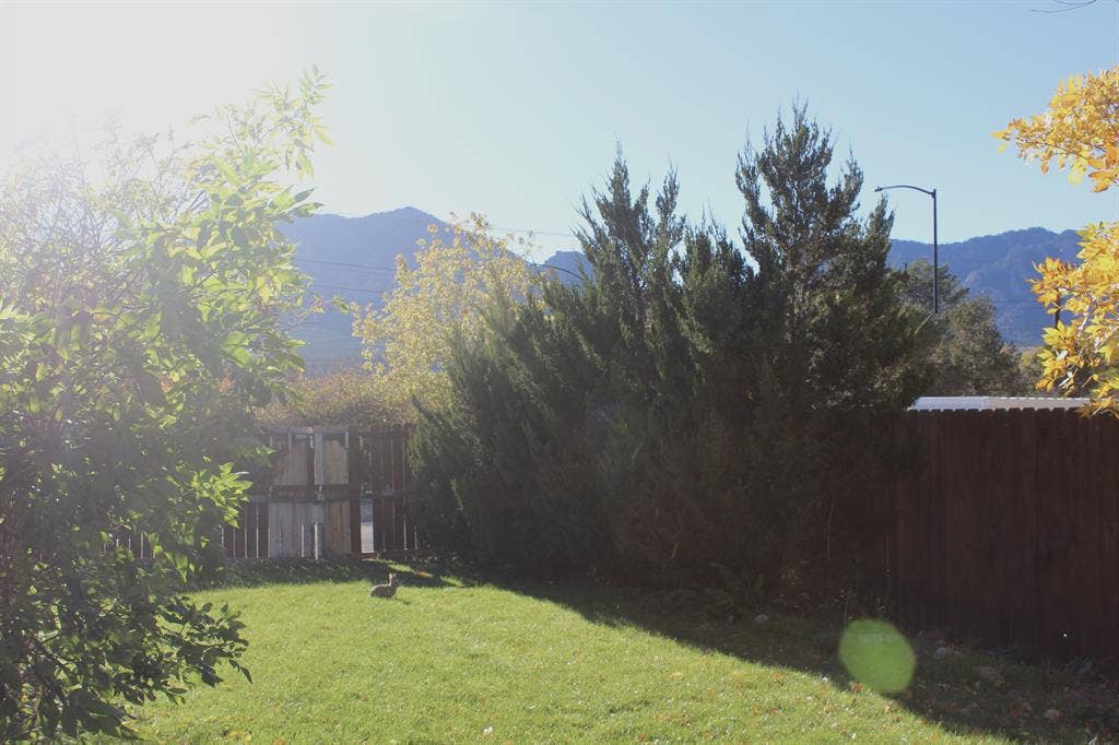 Room available in Table Mesa!