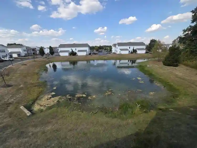Townhouse near beautiful pond.