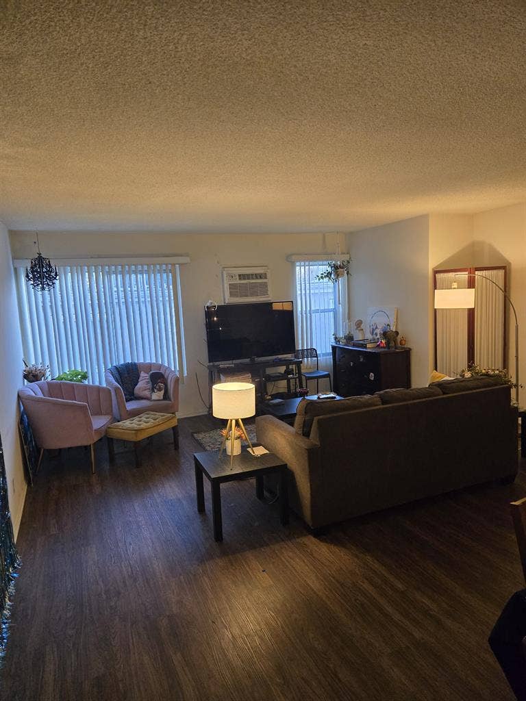 Looking for queer roommate!