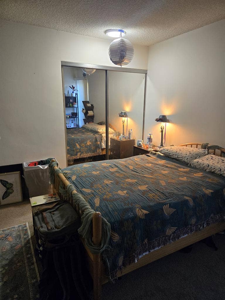 Looking for queer roommate!