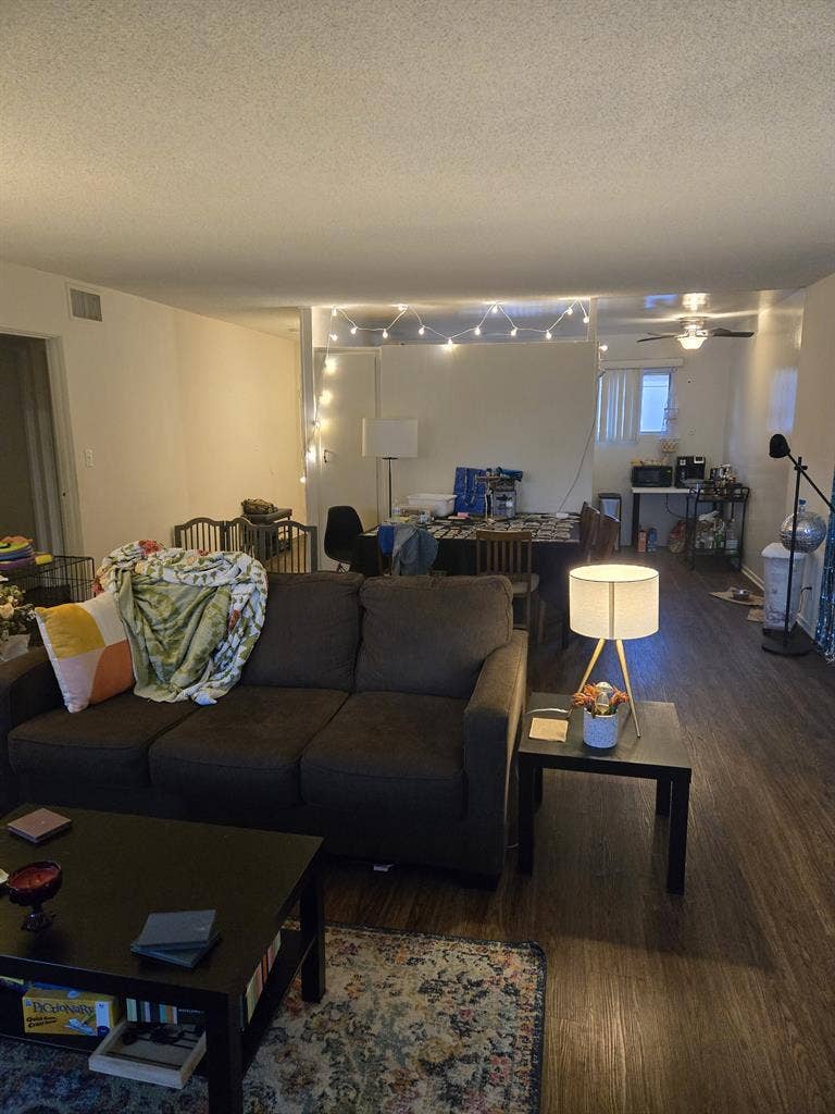 Looking for queer roommate!