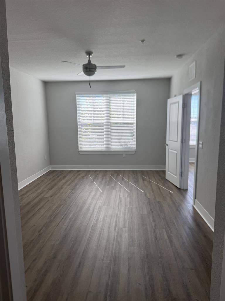 Looking for a roommate