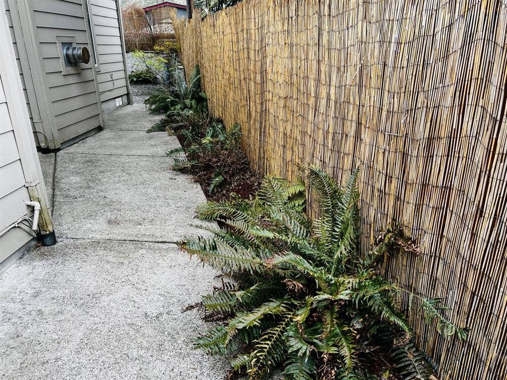 Tranquil, single family home room