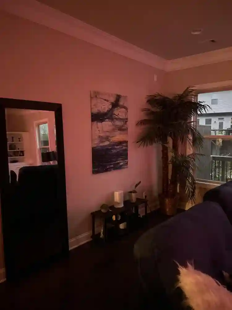 Gorgeous Luxury in Dunwoody house!