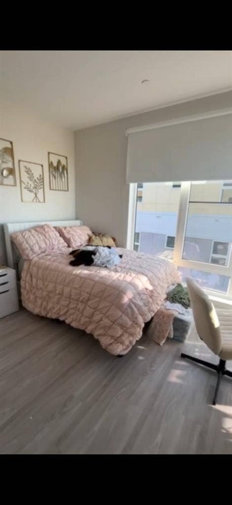 Room Available w/ Private Bathroom