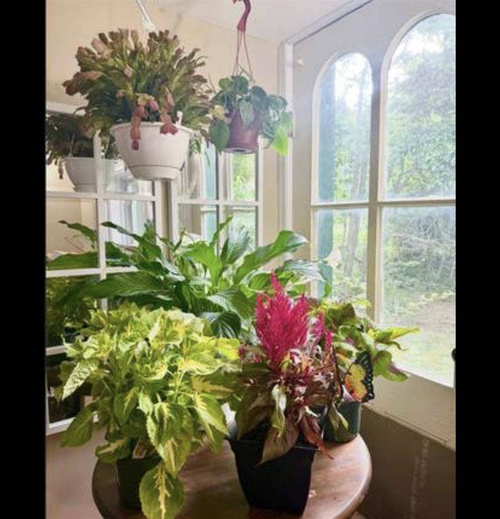 Private bedroom available in house