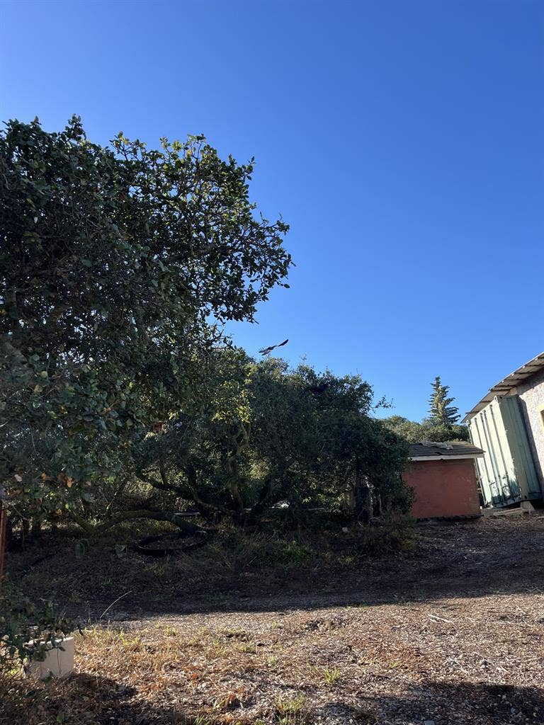 1 bedroom available on horse ranch!