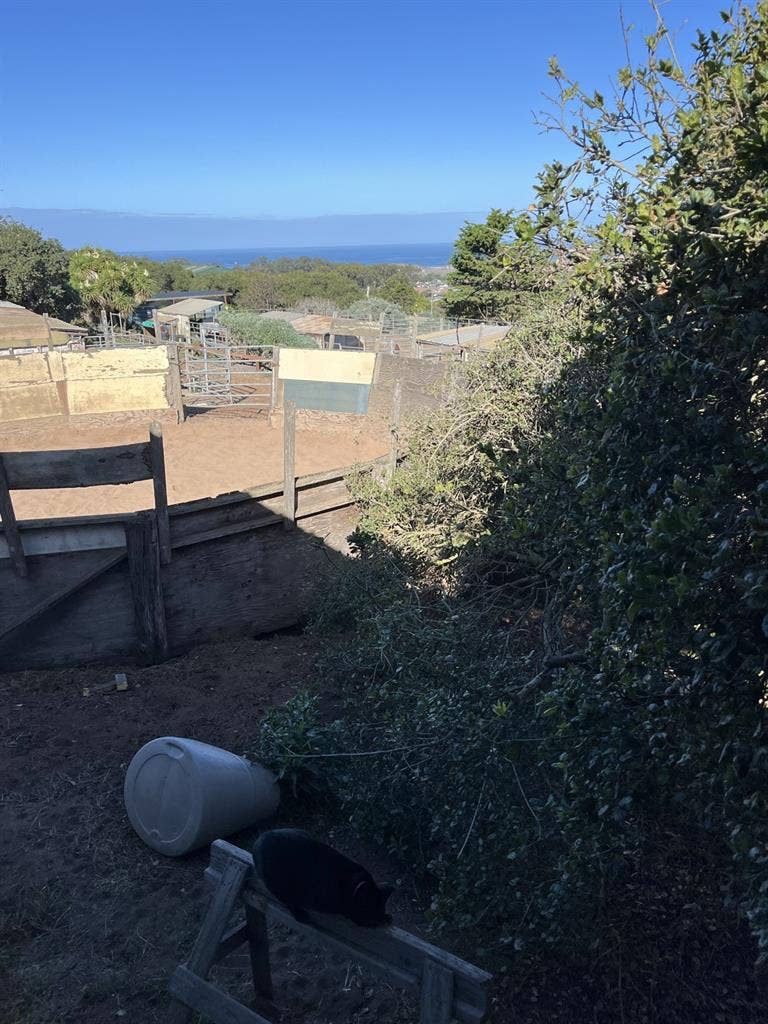 1 bedroom available on horse ranch!