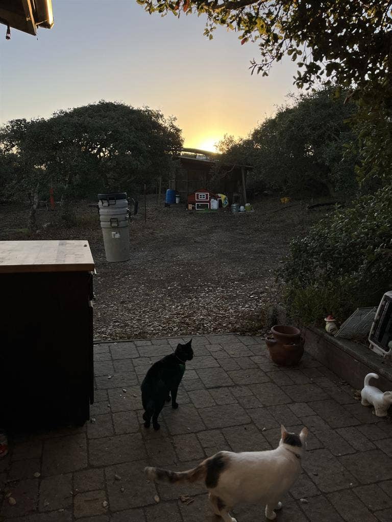 1 bedroom available on horse ranch!