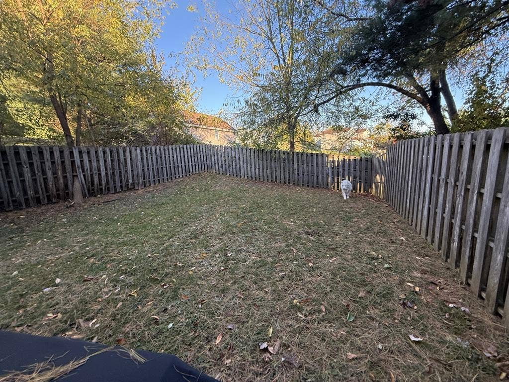 Looking for roommate